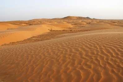 Ecosystème désert (Sahara, Tunisie)